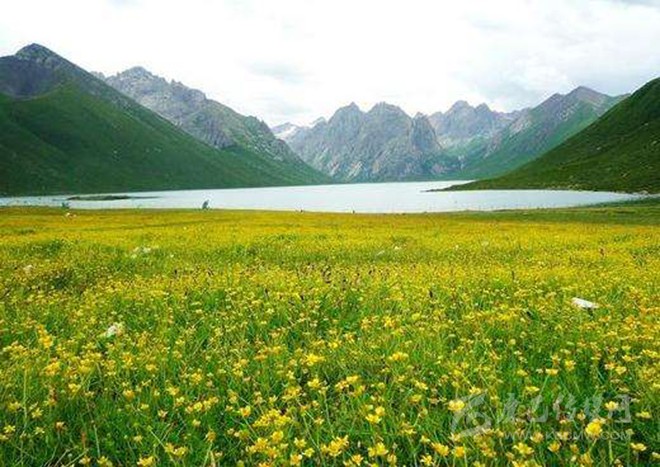 གཉན་པོ་གཡུ་རྩེ།