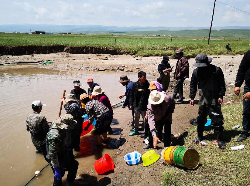 མཚོ་ལྷོ་བོད་རིགས་རང་སྐྱོང་ཁུལ་གསེར་ཆེན་རྫོང་ཆོས་རྗེ་ཆུ་བོའི་ཆུ་ལག་ཅིག་ཏུ་གསེར་ཉ་སྤྱི་རྒྱ5500བསྐྱབས་པ།