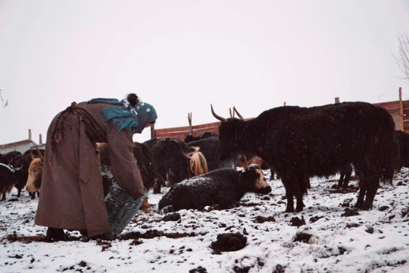 འབྲོག་དང་འབྲོག་ལས།