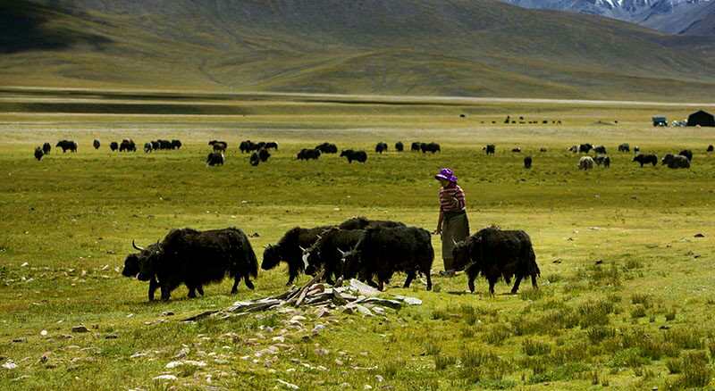 ལམ་ཕྲན།