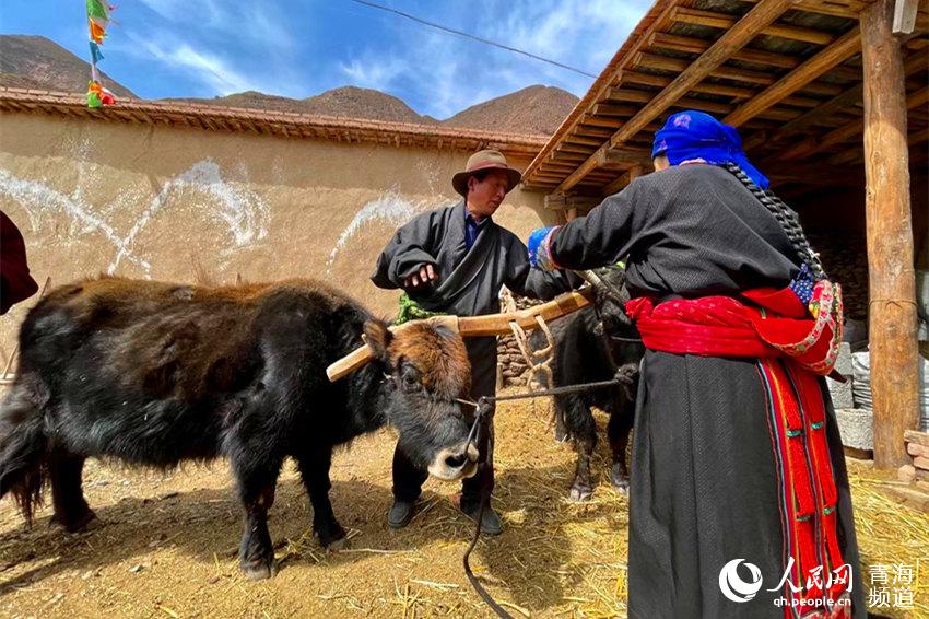 བ་ཡན་རྫོང་ཐ་རྒྱ་སྡེ་བའི་རྨོ་འདེབས་མཛད་སྒོ།