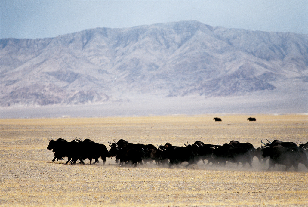 མཐོ་སྒང་གི་ཁྱད་ནོར།