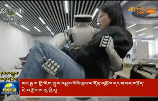 རང་རྒྱལ་གྱི་རིག་ནུས་འཕྲུལ་མིའི་རྣམ་པ་དོན་འཁྱོལ་དང་གསར་གཏོད་ཇེ་མགྱོགས་སུ་ཕྱིན།