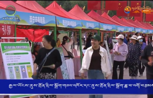 རྒྱལ་ཡོངས་ནུས་གྲོན་དྲིལ་སྒྲོག་གཟའ་འཁོར་དང་ནུས་གྲོན་དྲིལ་སྒྲོག་ཟླ་བ་འགོ་བརྩམས།