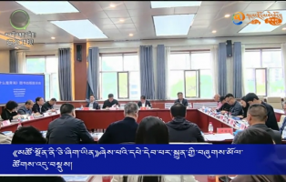 《མཚོ་སྔོན་ནི་ཅི་ཞིག་ཡིན》ཞེས་པའི་དཔེ་དེབ་པར་སྐྲུན་གྱི་བཞུགས་མོལ་ཚོགས་འདུ་བསྡུས།