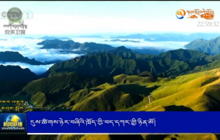 དུས་ཚིགས་ཉེར་བཞིའི་ཁྲོད་ཀྱི་བད་དཀར་གྱི་ཉིན་མོ།