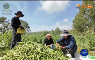 མཐོ་སྒང་དུ་རྒྱ་སྲན་འདེབས་འཛུགས་བྱས་ཏེ་མང་ཚོགས་ཕྱུག་འགྱུར་གྱི་ལམ་དུ་བསྐྱོད།