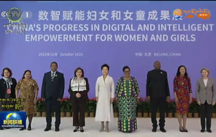 ཕིན་ལིས་ཡོན་འཛམ་གླིང་བུད་མེད་རྩེ་ཚོགས་ཀྱི་ཆ་སྡེབ་བྱེད་སྒོར་ཞུགས།