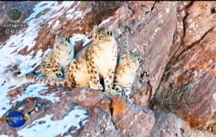 མདོ་ལ་རུ་གསའ་ཡིས་ཕྲུ་གུ་ཁྲིད་པའི་རྣམ་པ་བརྙན་དུ་བླངས།