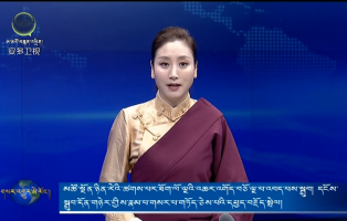 མཚོ་སྔོན་ཉིན་རེའི་ཚགས་པར་ཐོག་ལོ་ལྔའི་འཆར་འགོད་ལྔ་པ་འབད་པས་སྒྲུབ། དངོས་སྒྲུབ་དོན་གཉེར་གྱིས་རྣམ་པ་གསར་པ་གཏོད་ཅེས་པའི་དཔྱད་བརྗོད་སྤེལ།