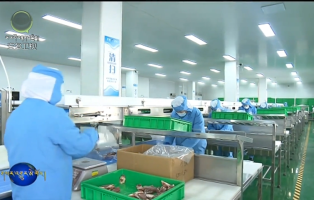 མཚོ་སྔོན་གྱིས་དེང་རབས་ཅན་གྱི་ཐོན་ལས་མ་ལག་བསྐྲུན་ནས་སྤུས་ཚད་མཐོ་བའི་འཕེལ་རྒྱས་ལ་སྐུལ་འདེད་བཏང་།