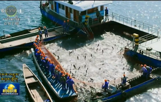 མཁར་གྲོང་མཉམ་འདྲེས་འཕེལ་རྒྱས་ཀྱི་རྣམ་པ་གསར་པ་མགྱོགས་མྱུར་ངང་བསྐྲུན།