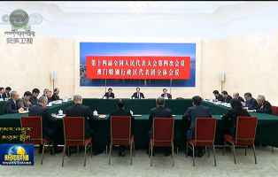 ཏིང་ཞུའེ་ཞང་ཞང་ཀྲང་འཐུས་ཚབ་ཚོགས་པ་དང་ཨའོ་མོན་འཐུས་ཚབ་ཚོགས་པའི་གྲོས་ཞིབ་ལ་ཞུགས།