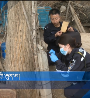 རི་ལུང་གསེབ་ཀྱི་རྐུན་མ།