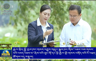 རྒྱལ་སྲིད་སྤྱི་ཁྱབ་ཁང་གསར་འགྱུར་གཞུང་སྒྲུབ་ཁང་གིས