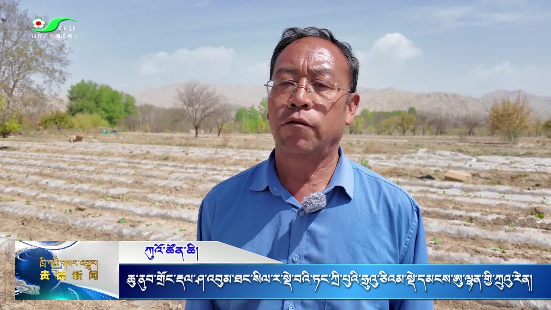 དཔྱིད་ཀྱི་དུས་བཟང་དམ་འཛིན་བྱས་ནས་ཞིང་ཁའི་རྨོ་འདེབས་ཡོང་འཕར་བྱེད་པར་སྐུལ་འདེད་བཏང་།