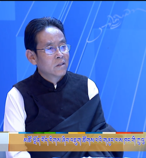མཚོ་སྔོན་བོད་རིགས་ཞིབ་འཇུག་ཚོགས་པའི་མི་རིགས་མཐུན་སྒྲིལ་ཡར་ཐོན་དང་ས་གནས་རིག་གནས་དར་སྤེལ་གྱི་བྱ་བའི་གྲུབ་འབྲས་སྐོར་གླེང་བ།