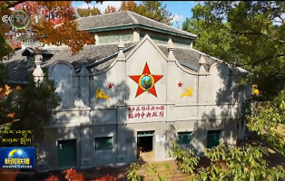གསར་བརྗེའི་མེ་སྟག་གང་སར་མཆེད་ངེས།